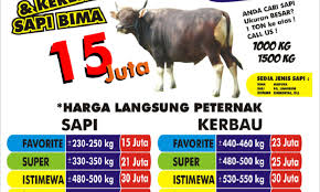Video lembu hitam korban garang 2019. Ingin Beli Hewan Qurban Online Cek Dulu Harga Dan Tempatnya Cermati Com