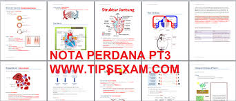 Dskp sains tingkatan 3, april 2017). Pt3 Science Dskp Kssm Notes Exam Tips Upsr Pt3 Spm 2020 2021