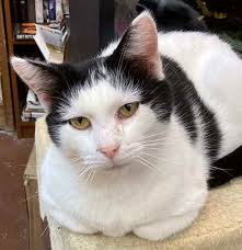 More vaccine ordered, deliveries set to increase