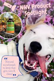 Pin On Natural Pet Products