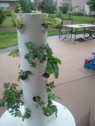 My Tower Garden After Only 3 Weeks Motherhood Support Tower Garden Hydroponic Gardening Growing Food