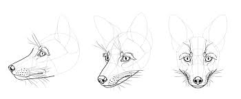 There are some tips on the eyes, snouts, skull of. Sketchbook Original How To Draw Foxes Monika Zagrobelna