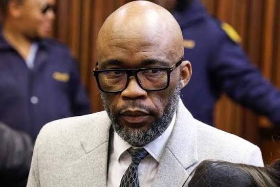Cat Matlala's Madlanga Commission evidence postponed to date after plea deal hearing | News24