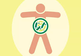 Prebiotics vs. Probiotics: What's the Difference?