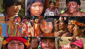 Resultado de imagen para Pedagógia Indigena Bilingüe VENEZUELA