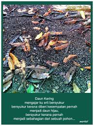 Pasti banyak aturan sebelum mendeskripsikan kelinci dalam bahasa. Daun Kering Movie Posters Poster Movies