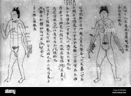 medicine, birth  gynecology, oldest Japanese picture of a naked pregnant  woman, drawing, graphic, graphics, Asia, Japan, full length, pregnancy,  gestation, gravidity, pregnancies, embryo, embryos, nakedness, nudity, naked,  script, scripts, character ...