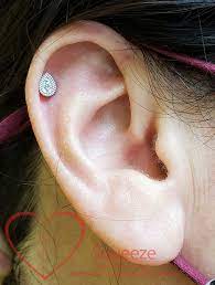 Piercing Again In Long Beach New Flower Studio Body Piercing