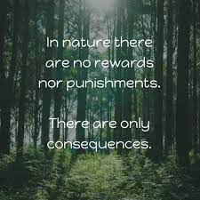 It is a principle which is not consistent for other countries in the world. 35 Superior Punishing Quotes Crime And Punishment God S Punishment Quotes