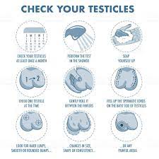 You should have a thorough physical exam as soon as possible. Testical Cancer Cancer Association Of Namibia Wo30