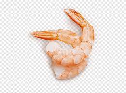 Caridea Garnelen Garnelen Riesen Tiger Garnelen Garnelen Angeln Tierquellnahrung Png Pngegg