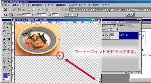 Photoshop Elements