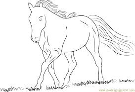 Hundreds of free spring coloring pages that will keep children busy for hours. White Horse Coloring Page For Kids Free Horse Printable Coloring Pages Online For Kids Coloringpages101 Com Coloring Pages For Kids
