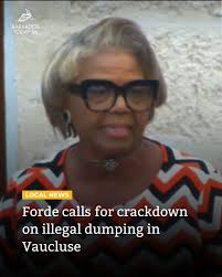 Illegal dumping in Vaucluse has spiralled into a crisis, with licensed  hauliers allegedly being paid to dispose of rubbish at landfills but  instead leaving refuse at roadside hotspots. Outraged by the return