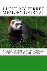 i love my ferret memory journal a ferret journal for you to