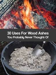30 Uses For Wood Ashes Wood Ash Can Be Useful In Home Gardens In Your Compost Pile Or As A Pest Repellent These 30 U Homesteading Ash Wood Organic Gardening