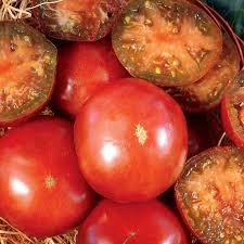 However they take about 80 days to produce tomatoes which could limit your harvest. Tomato Seeds Heirloom Black Krim Ferry Morse Home Gardening 202 S Washington St Norton Ma 02766