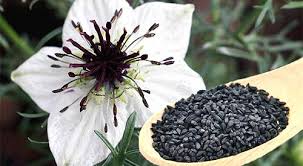 Tiroiditele sunt un grup de afecțiuni cauzate de inflamația glandei tiroide. Semintele De Negrilica Remediu Pentru Hipotiroidism Si Tiroidita Autoimuna Lataifas