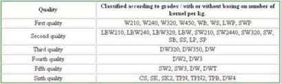 Cashew Grades Caprinut Industries