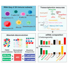 Rna Seq Signatures Normalized By Mrna Abundance Allow