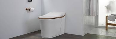 Rated 5.00 out of 5. Best Smart Toilets Available In Canada Bath Emporium Toronto