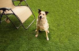 Therefore our pet system focuses on finding the right mix of artificial grass product selection, installation technique and maintenance schedule individualized for your application. The 7 Best Artificial Grass Options In 2021 Flooring Inc