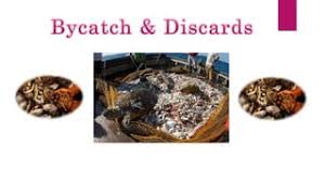 نتیجه جستجوی لغت [discards] در گوگل