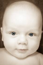 Joy Glenn Photography