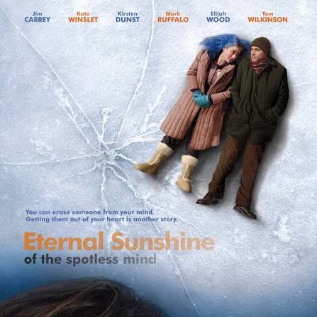Eternal Sunshine of the Spotless Mind Review — logline