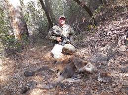 As a user of the california department of fish and wildlife (cdfw). Marijuana Wars And The California Dfw Steven T Callan