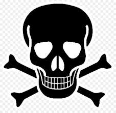 Skull svg, skull clipart, skull cut files for silhouette, skull files for cricut, skull dxf, skull png, skull eps, skull vector. Skull And Bones Png Free Skull And Bones Png Transparent Images 45700 Pngio