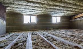 How Can Raccoons Damage an Attic?