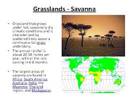 The most famous savannas are in africa. Climate Zones Vegetation Regions Biomes And Ecosystems Biomes