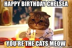 Happy Birthday Chelsea You Re The Cats Meow Birthday Cat Meme Generator