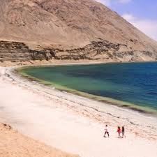 Here you can easy to compare statistics for both teams. Limari Nationalpark Fray Jorge Chile Travel
