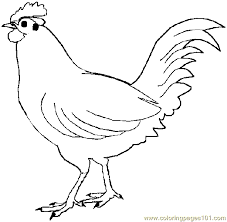 Be the first to comment. Pin On Coloring Pages Line Drawings Chickens