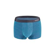 Kayizu Brand Mens Underpants Underwear Male Boxer Shorts Seamless Nylon Sexy Gay U High Elastic Convex Breathable Men Panties