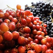Sri petaling is a suburb located in the south of kuala lumpur within the constituency of seputeh. Mbg Fruit Shop At The Klia2 Klia2 Info
