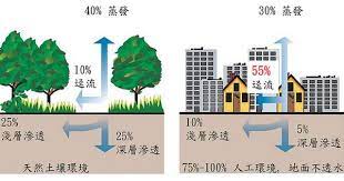 增加綠覆率有助雨水回收 圖片由peterman167提供 stormwater urban heat island permeable driveway