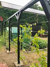 Pin Von Ninja Raps Auf Basteln Garten Garten
