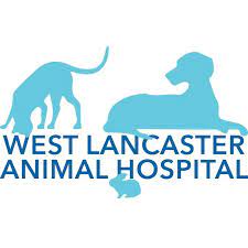 Check poison symptoms, diagnosis & treatments. West Lancaster Animal Hospital Home Facebook
