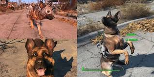 Fallout 4 - Why Codsworth Is The Best Companion - Youtube