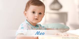 Meo is listed in the world's largest and most authoritative dictionary database of abbreviations and acronyms. Vorname Meo Beliebtheit Bedeutung Herkunft Mehr