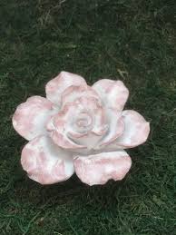 Many roses are subject to diseases, which spread easily when plants don't have sufficient air circulation. 2