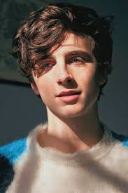 Pin By Cass On Timothee In 2020 Timothee Chalamet Bedroom Eyes Pretty People