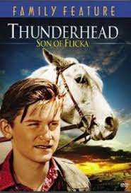 Thunderhead Hijo De Flicka 1945 Online Pelicula Completa En Espanol Fulltv