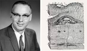 History of Ecological Sciences, Part 52: Symbiosis Studies