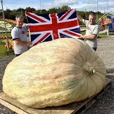 Image result for giant pumpkin