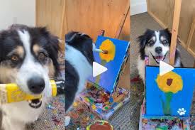 Viral foto dan video baby puppy baby chaca videonya ramai di media sosial, baby pupy viral, baby caca no sensor, viral vidio baby puppy pap t3t3, prank text di pap tt nya apa yang terjadi. Viral Video This Adorable Dog Painting A Flower On Canvas Will Definitely Brighten Your Day Watch
