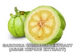 It is a pure proven formula for fast and effective fat burning results without any diet or exercise. Burdock Root Extract Supplier Malaysia Buy Burdock Root Extract Personalformularesources
